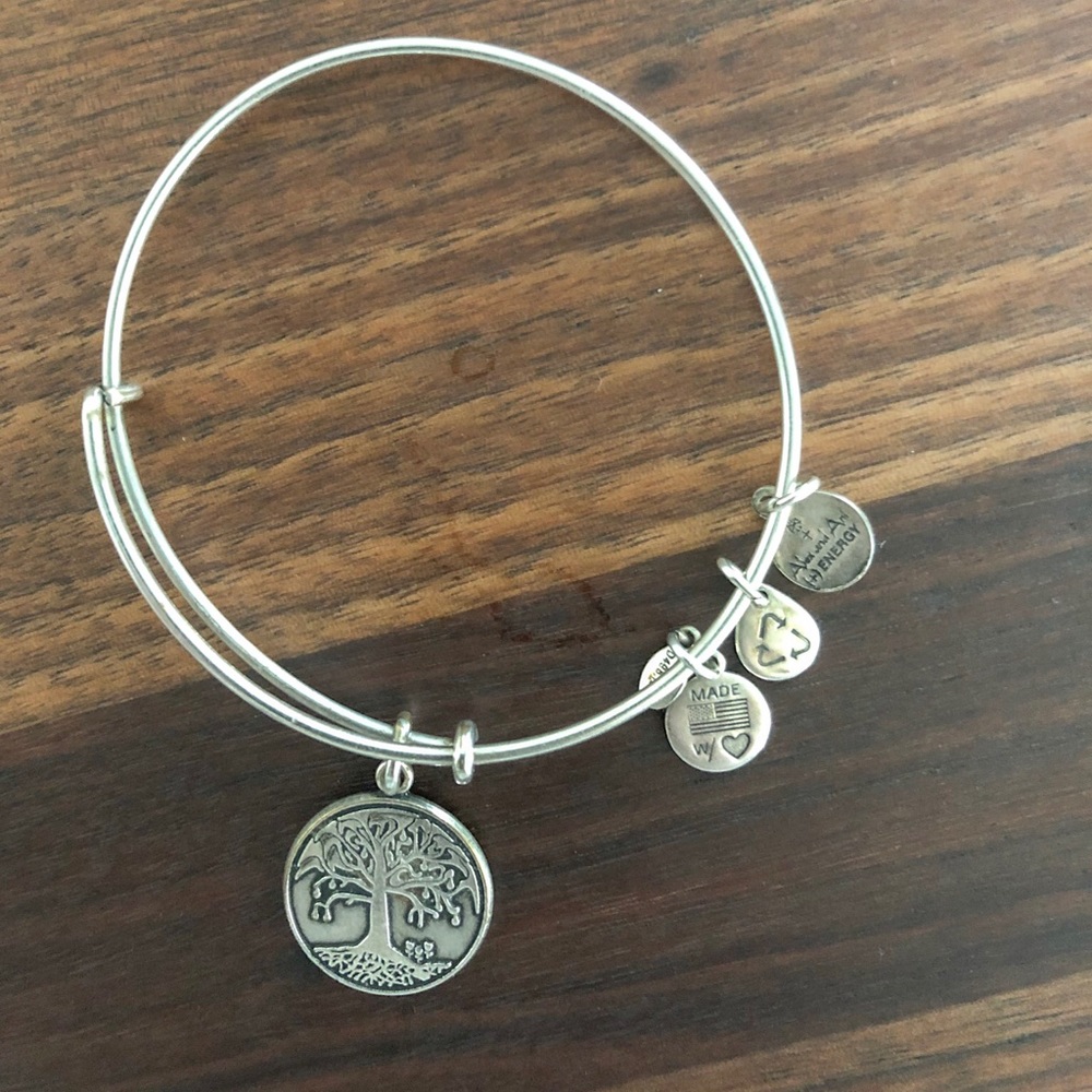 Alex and Ani bracelet